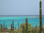 Aruba Spotlight Photo