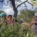 Ncoakhoe Women Photo - 