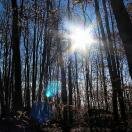Prevost Provincial Park