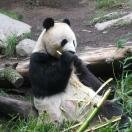 San Diego Zoo