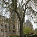 Natural History Museum
