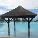 The infinity pool Photo - Gran Melia Palacio de Isora/Hotel Sensatori Tenerife, Tenerife, Canary Islands 