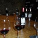Wine tasting...what's not to love?