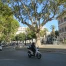 Piazza Barberini and Via Veneto Photo - Rome, Italy 