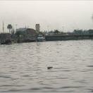 Tigre Photo - El Tigre, Buenos Aires, Argentina 