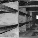 Bunks at  Birkenau Photo - Krakow, Poland 