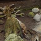 Biodome