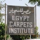 Egypt Carpets Institute
