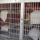 A cell in the 4 House Cellhouse. Photo - Boise, Idaho 