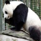 San Diego Zoo