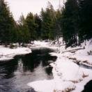 Old Faithful Tour