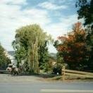 Pretty Peacham Photo - Vermont, United States 