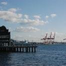 The harbor Photo - Seattle, Washington 