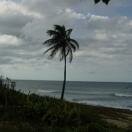Crashboat Beach