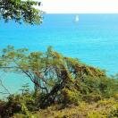 Island Paradise Photo - Antigua, Antigua and Barbuda 