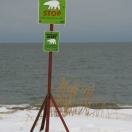 Along Hudson Bay Photo - Churchill, Manitoba 