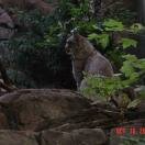 Biodome de Montreal