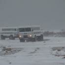 More Buggies Arrive Photo - Churchill, Manitoba 