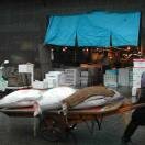 Tsukiji Fish Market