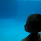 John G. Shedd Aquarium