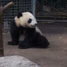 San Diego Zoo