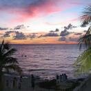 Island Life