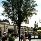 Park Shop
