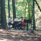 The Natchez Trace Photo - Vicksburg, Mississippi 