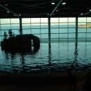 Shedd Aquarium