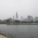 Shedd Aquarium