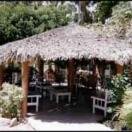 The Main Palapa Photo - Senor Manana's, Cabo San Lucas, Mexico 