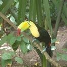 Xcaret