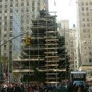 Rockefeller Christmas Tree