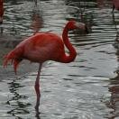 San Diego Zoo