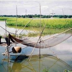 Bangladesh Photo