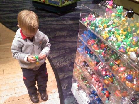 His Favorite Part Photo - John G. Shedd Aquarium, Chicago, Illinois 