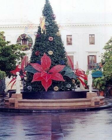 Plaza de Armas Photo - Plaza de Armas, San Juan, Puerto Rico 