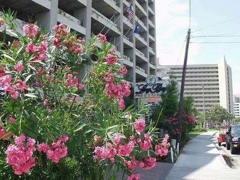 How the Entance Looks from the Blvd. Photo - Long Bay Resort, Myrtle Beach, South Carolina 