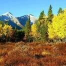 5 Ways to Celebrate Glacier National Park's 100th Photo